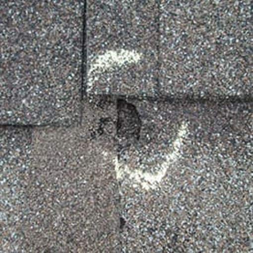 Roof image from hail on gray roof shingle