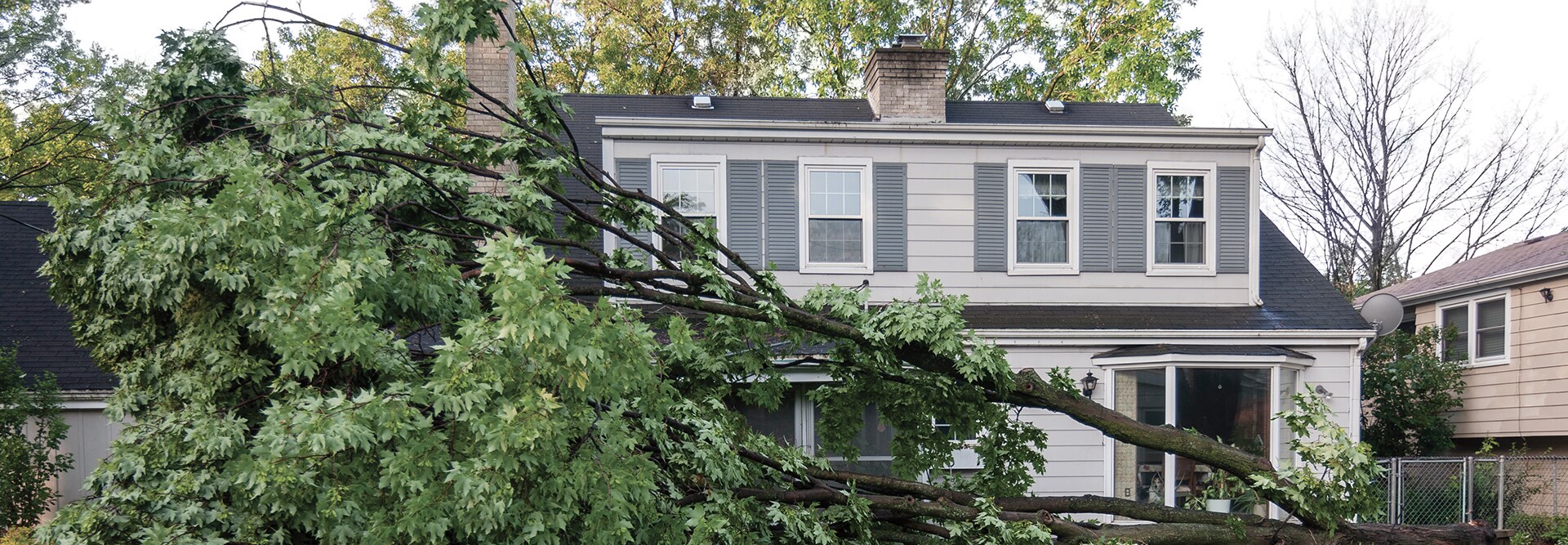 A large tree has fallen across the front of a two-story home, illustrating the need for storm restoration roofing resources by GAF due to storm damage.
