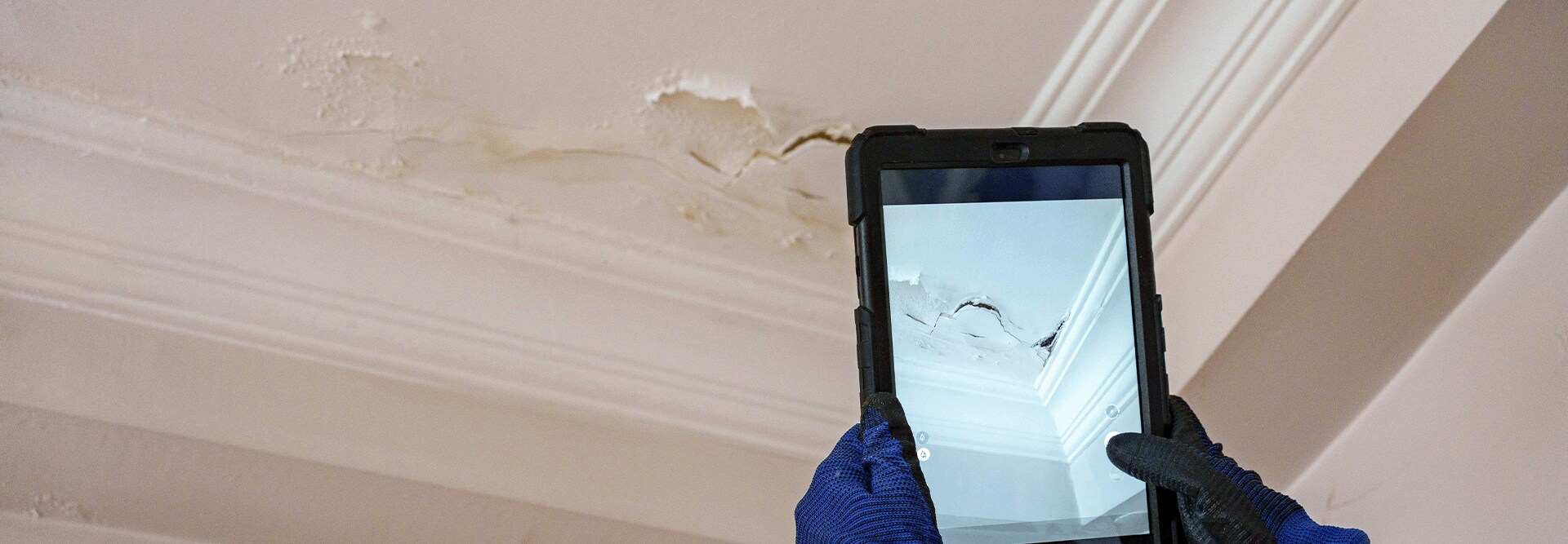 A contractor taking a photo of cracked ceiling plaster while planning a roof leak repair