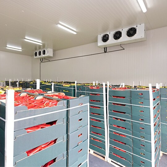 Cold Storage facility for fresh produce.