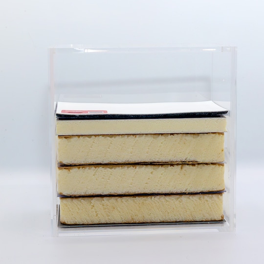 A Model Roof commercial flat roof assembly in an acrylic box.