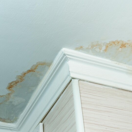 Water stains on a ceiling, indicating roof leak repairs are needed. 