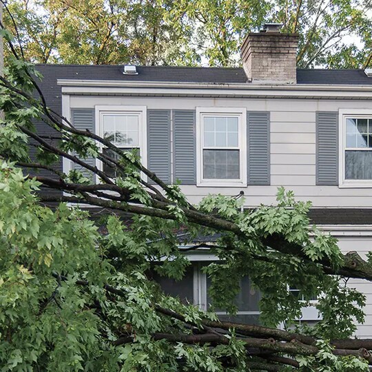 A storm-hit house with a fallen tree in front.